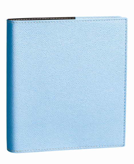 Executif VZ Club himmelblau 2025, Buch