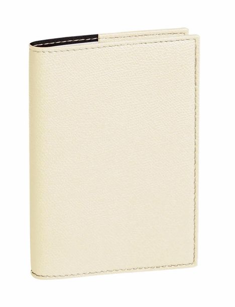 Geschäftbus Vz Club beige 2026, Buch
