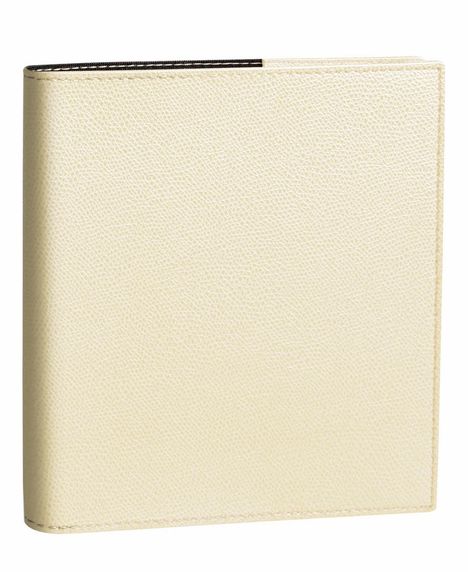 Executif VZ Club Beige 2026, Buch