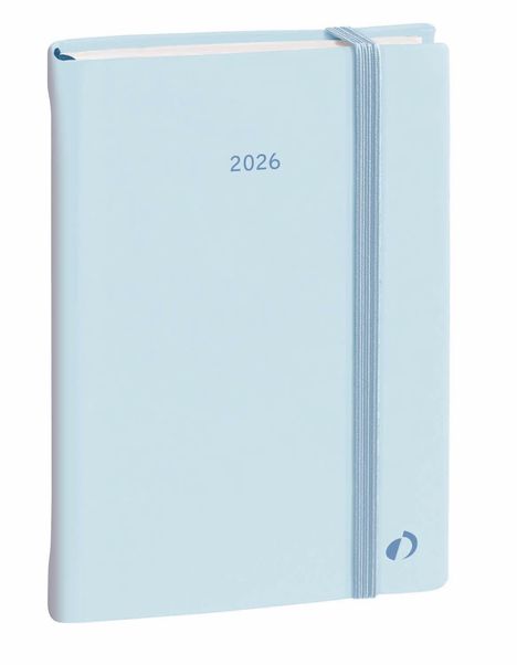 Daily color 21 Pastel blau 2026, Buch