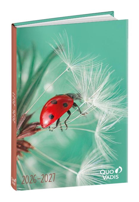 2026-2027, Quo Vadis. Ein Marienkäfer krabbelt auf einer Pusteblume vor einem türkisfarbenen Hintergrund.