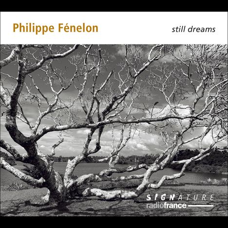 Philippe Fenelon (geb. 1952): Kammermusik "Still Dream", 2 CDs