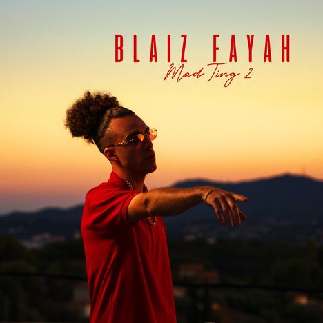 Blaiz Fayah: Mad Ting 2, LP