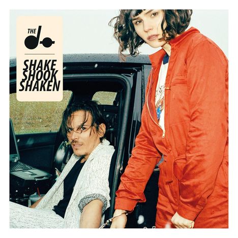 The Do: Shake Shook Shaken (180g), 2 LPs