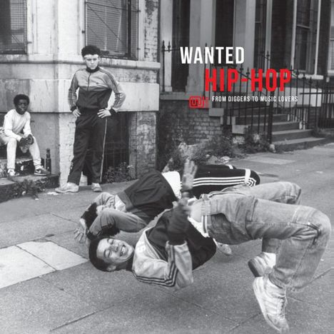 Wanted Hip-Hop (New Version), LP