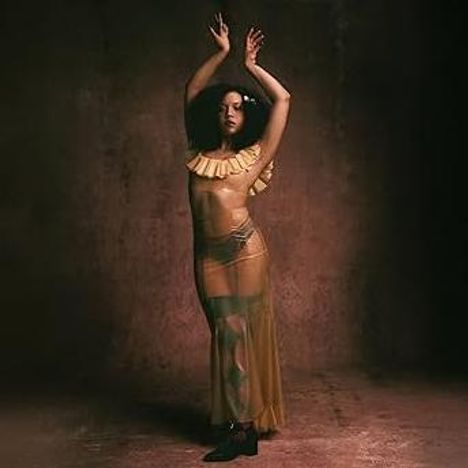 Eine Person in einem transparenten Kleid posiert mit erhobenen Armen vor einem dunklen, texturierten Hintergrund.