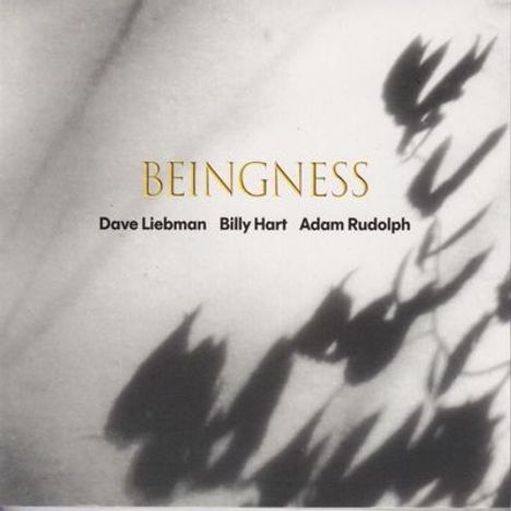 Text: "BEINGNESS" mit den Namen Dave Liebman, Billy Hart, Adam Rudolph. Unscharfe Blätter oder Schatten im Hintergrund.