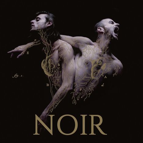 Heymoonshaker: Noir, CD