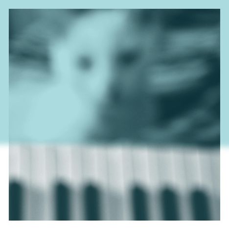 Peter Broderick (geb. 1987): Piano Works Vol.1 (Floating In Tucker's Basement), 2 LPs