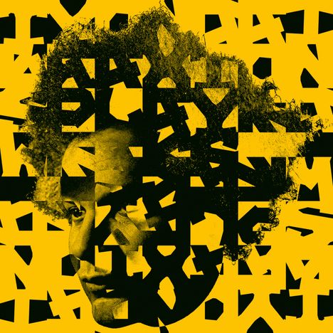 Ein Porträt, zerschnitten in viele Formen. Dunkles Gesicht vor gelbem Hintergrund, abstrakt gestaltet.