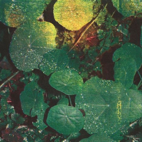 Dieses Gemälde zeigt grüne Blätter mit feinen Wassertropfen, die in verschiedenen Größen verteilt sind.