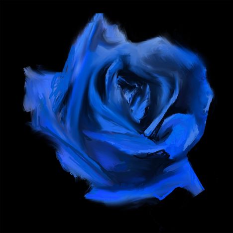 Es handelt sich um eine Illustration einer blauen Rose auf schwarzem Hintergrund.