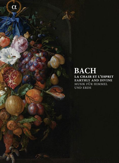 Johann Sebastian Bach (1685-1750): Bach - Musik für Himmel und Erde (Buch mit 6 CDs), 6 CDs