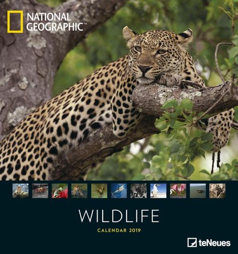 National Geographic Wildlife 2019, Diverse