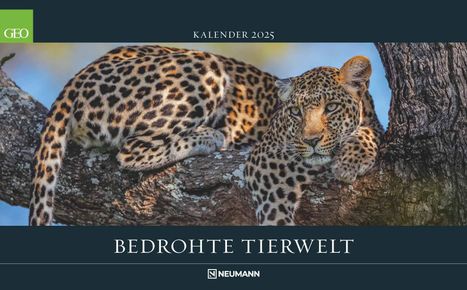 GEO Bedrohte Tierwelt 2025 - Wand-Kalender - Tier-Kalender - Poster-Kalender - 58x36, Kalender