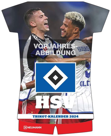 Hamburger SV 2025 - Trikotkalender - Fußball-Kalender - Fan-Kalender - 34,1x42, Kalender