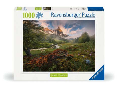 Ravensburger Puzzle 12000074 - Malerische Stimmung im Vallée - 1000 Teile Puzzle für Erwachsene und Kinder ab 14 Jahren, Puzzle mit Landschafts-Motiv, Diverse