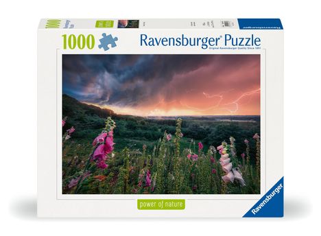 Ravensburger Puzzle 12000793 - Ein Sturm zieht auf - 1000 Teile Puzzle für Erwachsene ab 14 Jahren, Diverse