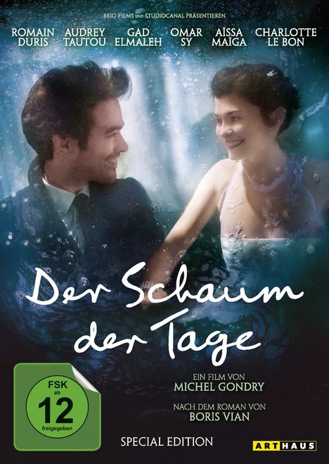 Der Schaum der Tage, 2 DVDs