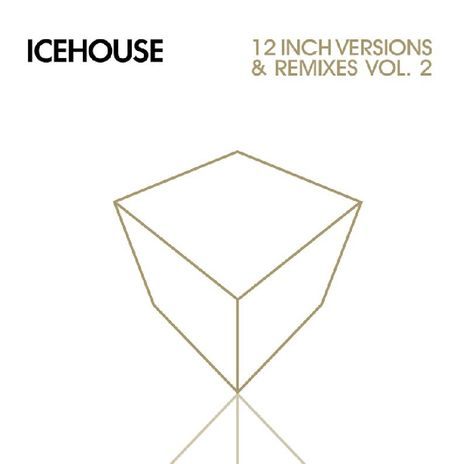 Icehouse: 12 Inch Versions &amp; Remixes Vol. 2, 2 CDs
