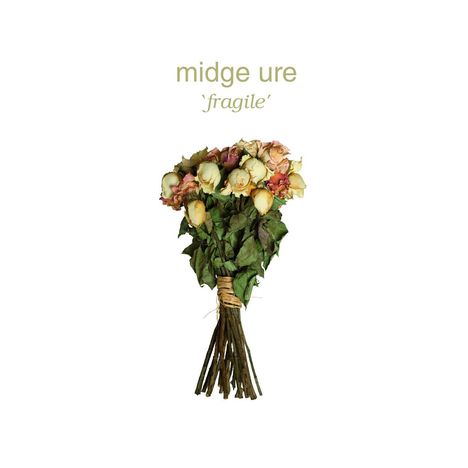 Midge Ure: Fragile (180g), LP
