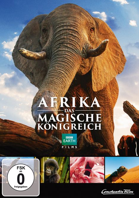 Afrika - Das magische Königreich, DVD