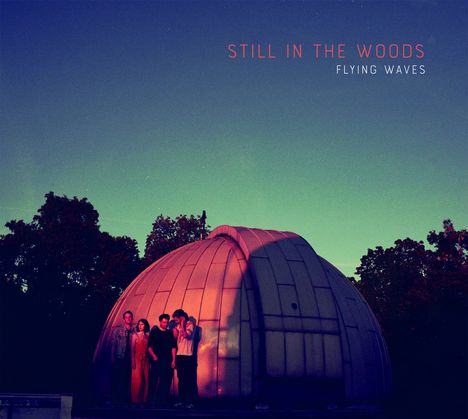 Still In The Woods: Flying Waves, CD