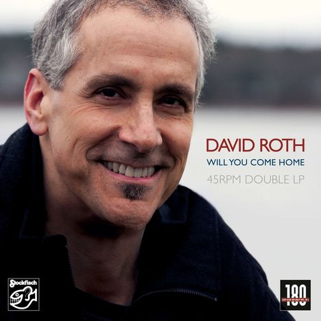 David Roth: Will You Come Home (180g) (45 RPM), 2 LPs