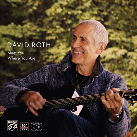 David Roth: Meet You Where You Are (180g) (45 RPM), 2 LPs