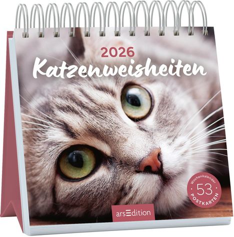 Postkartenkalender Katzenweisheiten 2026, Kalender