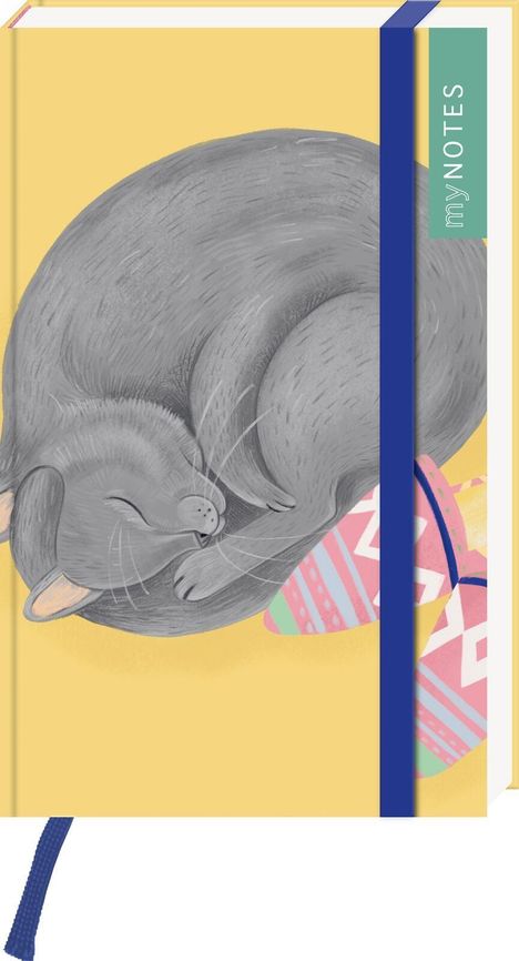 myNOTES Papeterie: Notizbuch A6 Katzen regieren die Welt, Diverse
