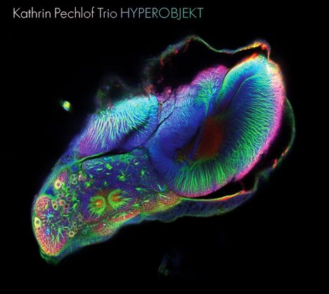Oben steht: "Kathrin Pechlof Trio HYPEROBJEKT". Bunte, leuchtende Formen auf schwarzem Hintergrund, fast wie abstrakte Kunst.
