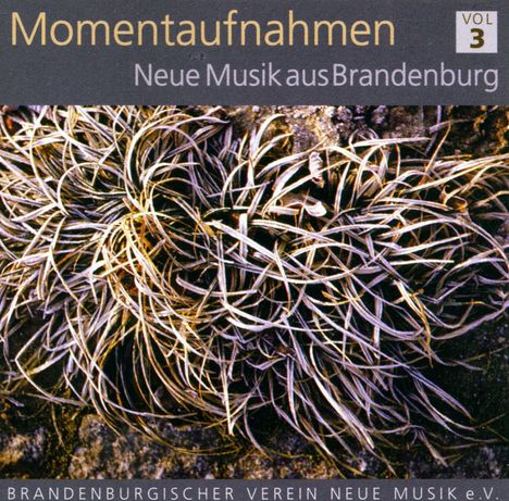Neue Musik aus Brandenburg - Momentaufnahmen 3, CD