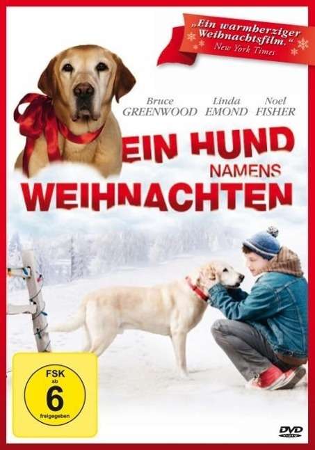 Ein Hund namens Weihnachten, DVD