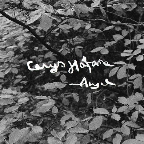 Cerys Hafana: Angel, LP