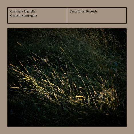 Camerata Figarella, Cantà in cumpagnia, Carpe Diem Records. Dunkles Gras beleuchtet von sanftem Licht.