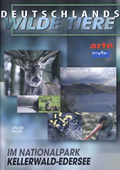 Deutschlands wilde Tiere - Nationalpark Kellerwald-Edersee, DVD