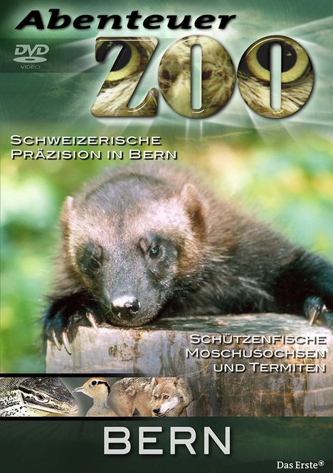 Abenteuer Zoo: Bern, DVD