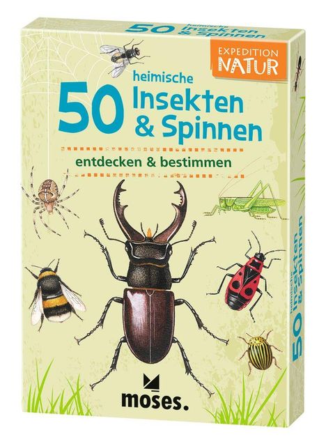 Carola von Kessel: Expedition Natur 50 heimische Insekten & Spinnen, Spiele