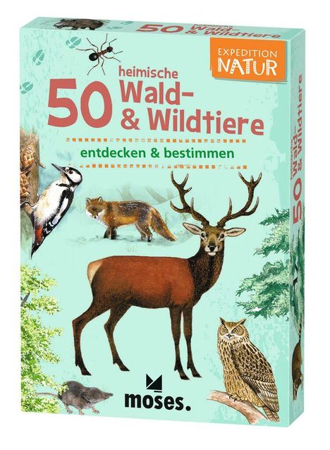 Carola von Kessel: Expedition Natur. 50 heimische Wald- &amp; Wildtiere, Spiele