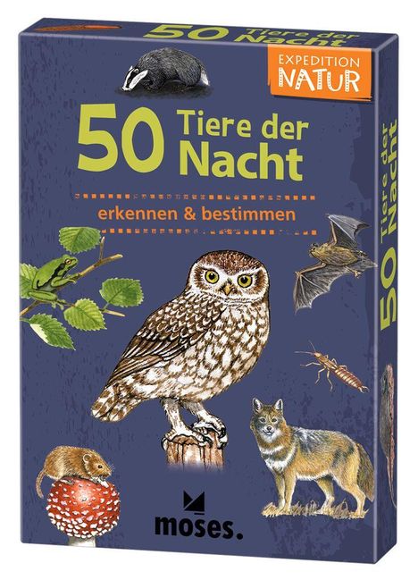 Carola von Kessel: Exp Natur 50 Tiere der Nacht, Spiele