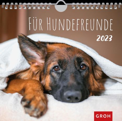 Groh Verlag: Für Hundefreunde 2023, Kalender