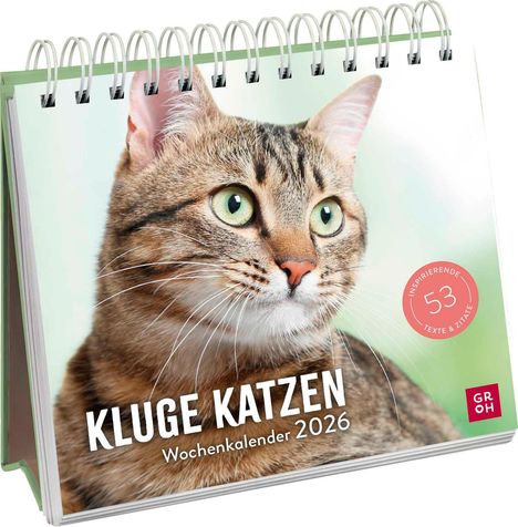 Wochenkalender 2026: Kluge Katzen, Kalender