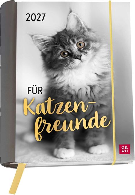 2027, Für Katzenfreunde. Ein grau-weißes Kätzchen blickt neugierig nach vorne. Kalender mit gelbem Band.