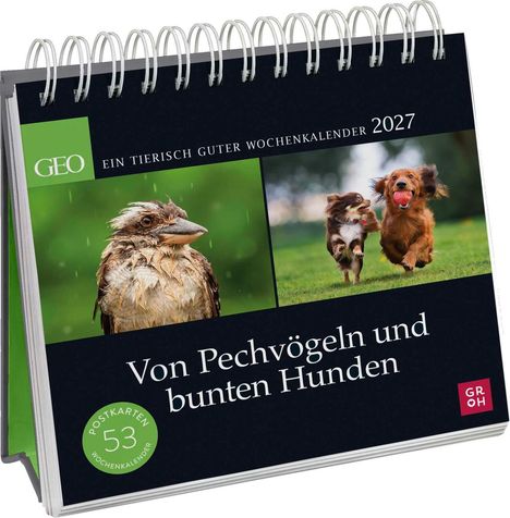 "Von Pechvögeln und bunten Hunden" steht auf einem Tischkalender mit einem nassen Vogel und zwei spielenden Hunden.