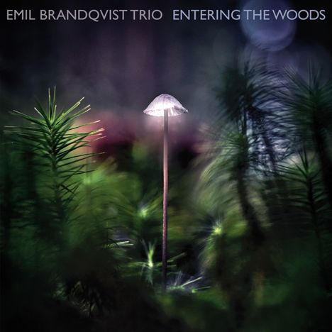 Emil Brandqvist (geb. 1981): Entering The Woods, CD