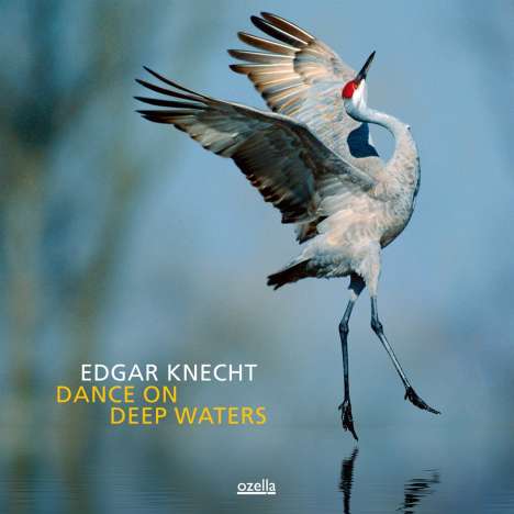 Edgar Knecht (geb. 1964): Dance On Deep Waters (180g) (Limited Edition), LP
