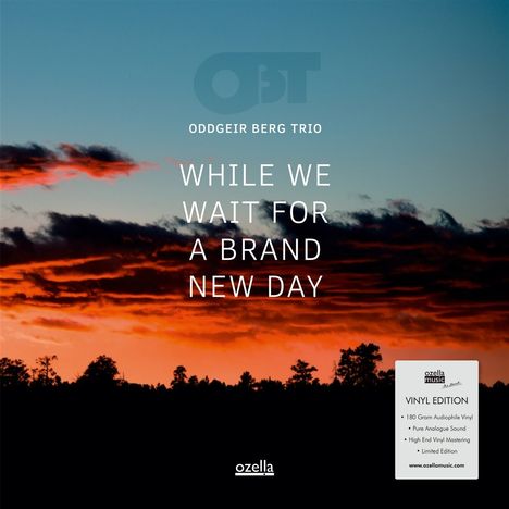 Oddgeir Berg: While We Wait For A Brand New Day (180g) (Limited Edition), LP