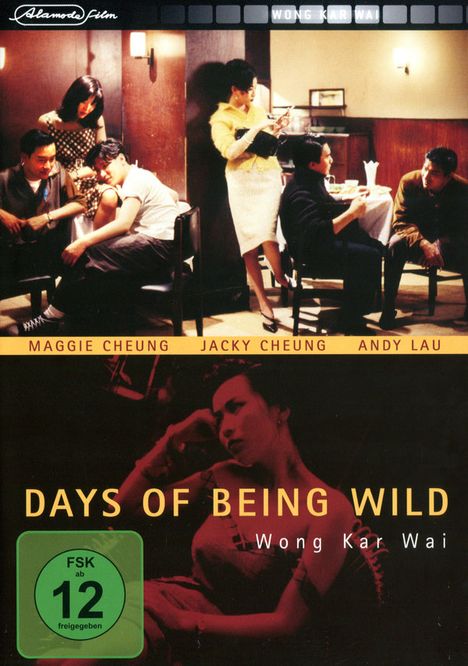 Days Of Being Wild, DVD