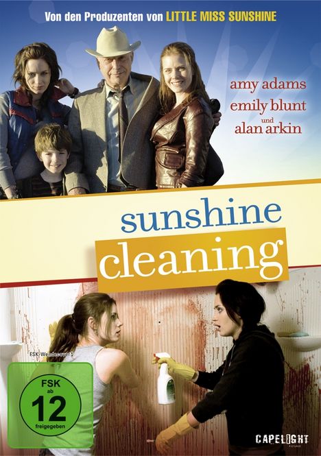 Sunshine Cleaning, DVD